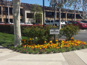 Davis Partners Santa Ana: Exterior Property Sign by Focal Point Costa Mesa