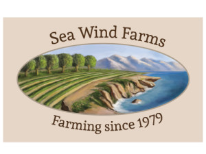 Custom Exterior Business Sew Wind Farms Banner made by focal point signs