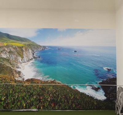 Large Format Wall Graphic