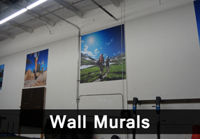 Wall Murals and Wall Wraps