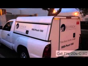 Eco Tech Pest control Truck Wraps by Focal Point Signs & Imaging, Costa Mesa